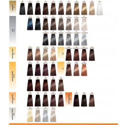 CHANTAL PROSALON FARBA DO WŁOSóW COLOR ART 100ML  KOLOR DO WYBORU